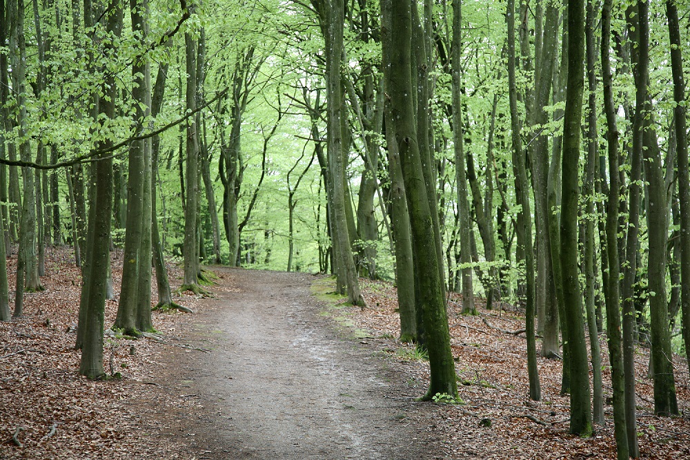 IMG_5804